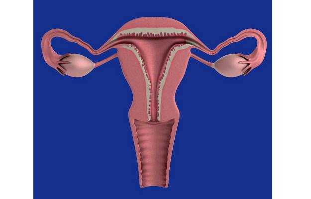 Reproductive System Infection