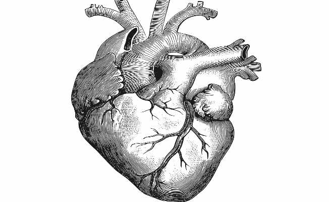 Tetralogy of Fallot: symptoms, causes, treatment, medicine, prevention ...